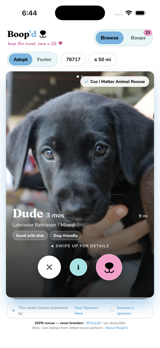 Boop'd app — swipe deck showing an adoptable puppy