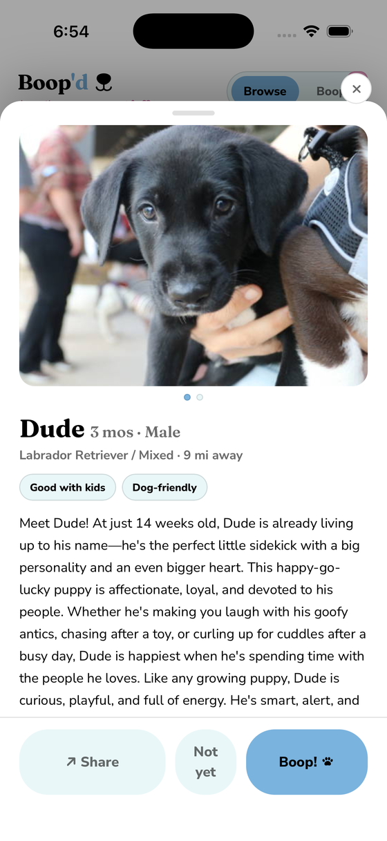 Boop'd app — a rescue puppy's full profile and story